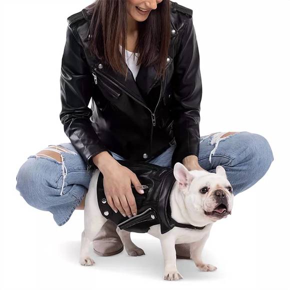 NEW BLANKNYC dog moto jacket in fcy - Picture 2 of 2